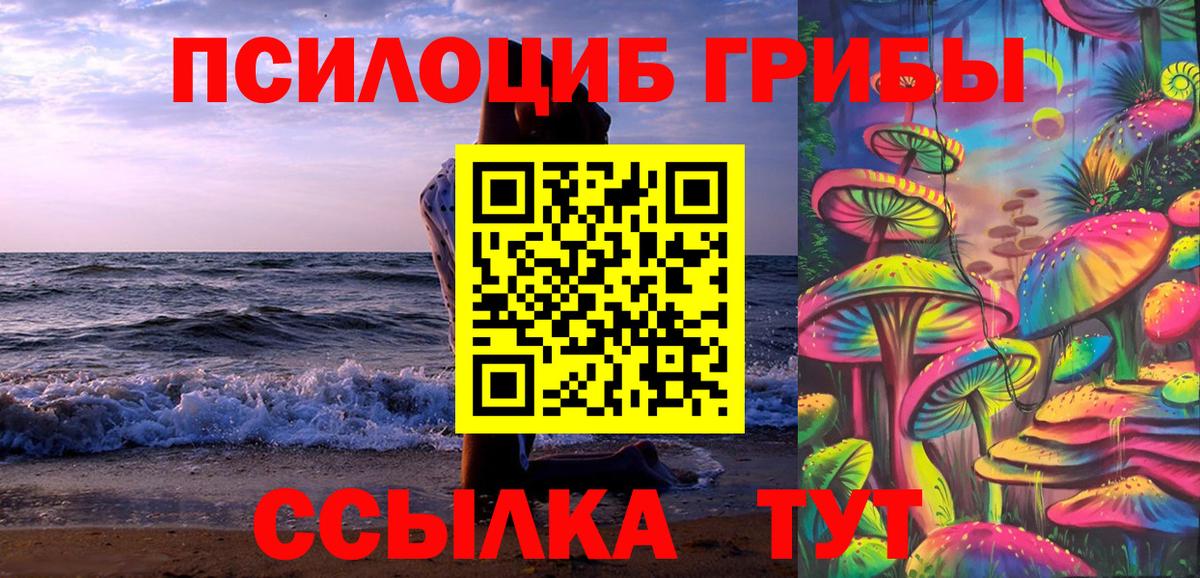 Галлюциногенные грибы Psilocybe Элиста