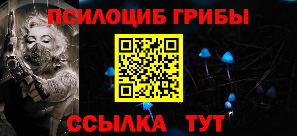 Галлюциногенные грибы мухоморы  Псилоцибиновые грибы Psilocybe  Вход с VPN  купить   Элиста 